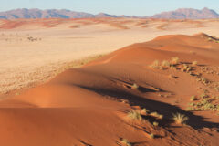 Namibia NamibRand Nature Reserve