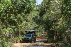 Nici Sri Lanka leopards blog 1st small image
