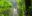 Nici_Costa_Rica_hero_image_resized_high_quality