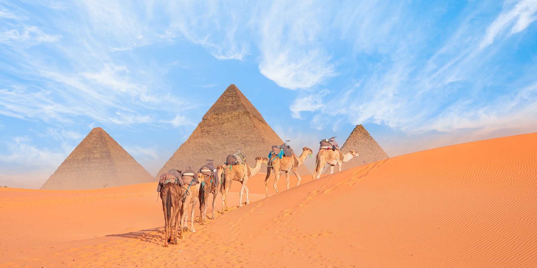 PYRAMIDS OF GIZA CAMELS shutterstock_2458858185
