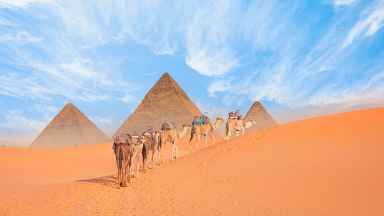 PYRAMIDS OF GIZA CAMELS shutterstock_2458858185