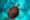 randall-ruiz-LVnJlyfa7Zk-unsplash