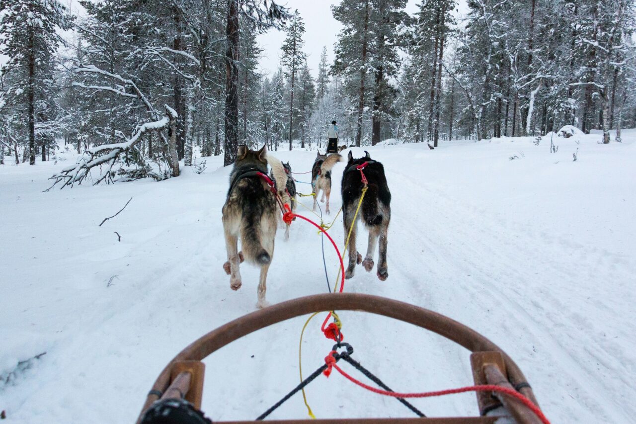 rasmus-gundorff-saederup-v1WgKHDi6dU-unsplash