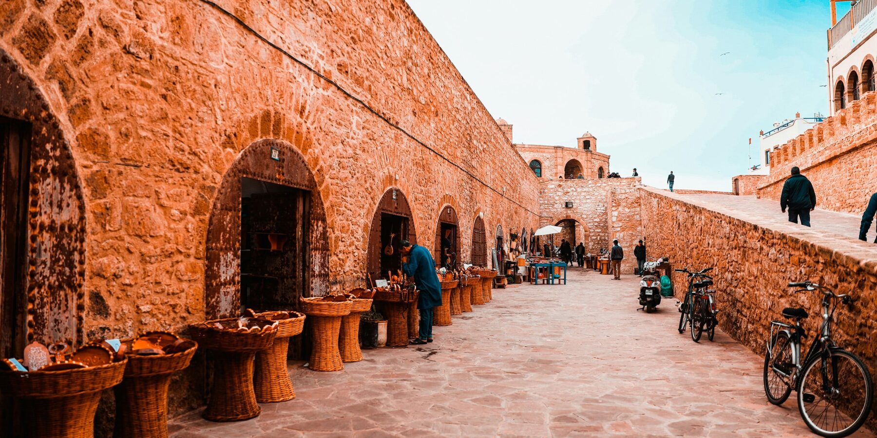 rigel-ibisQEDxODo-unsplash