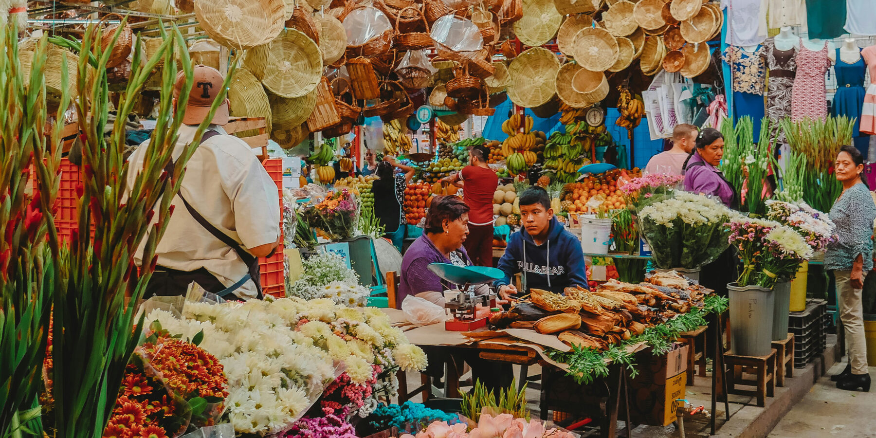 roberto-carlos-roman-don-wt3disORDAg-unsplash