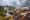 ROTORUA 2 shutterstock_2481544139