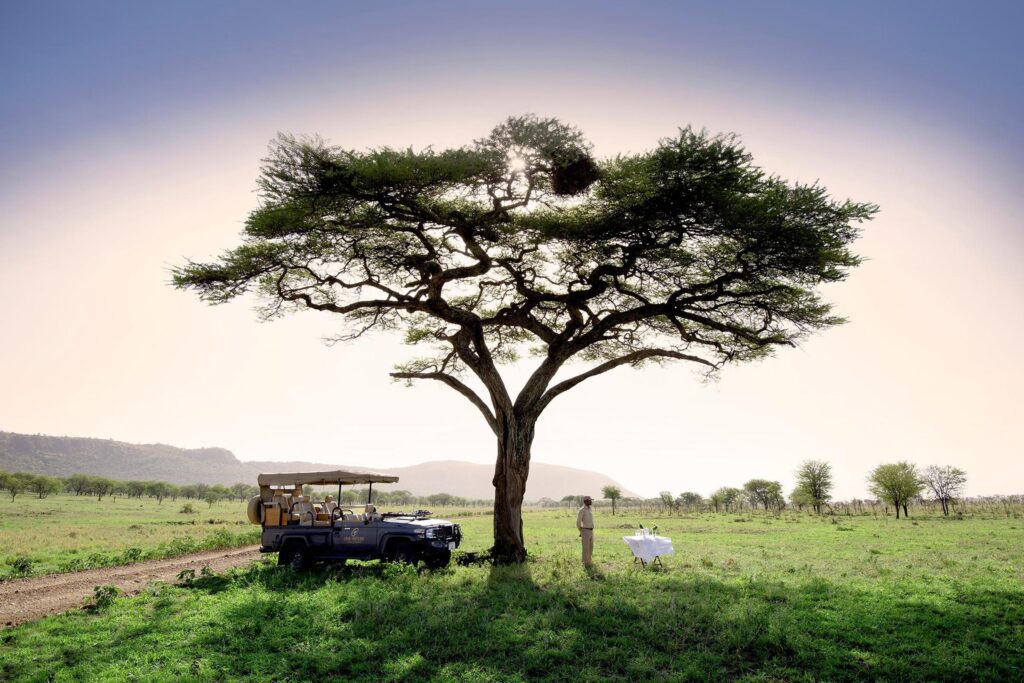 Safari Game Drive Vehicle