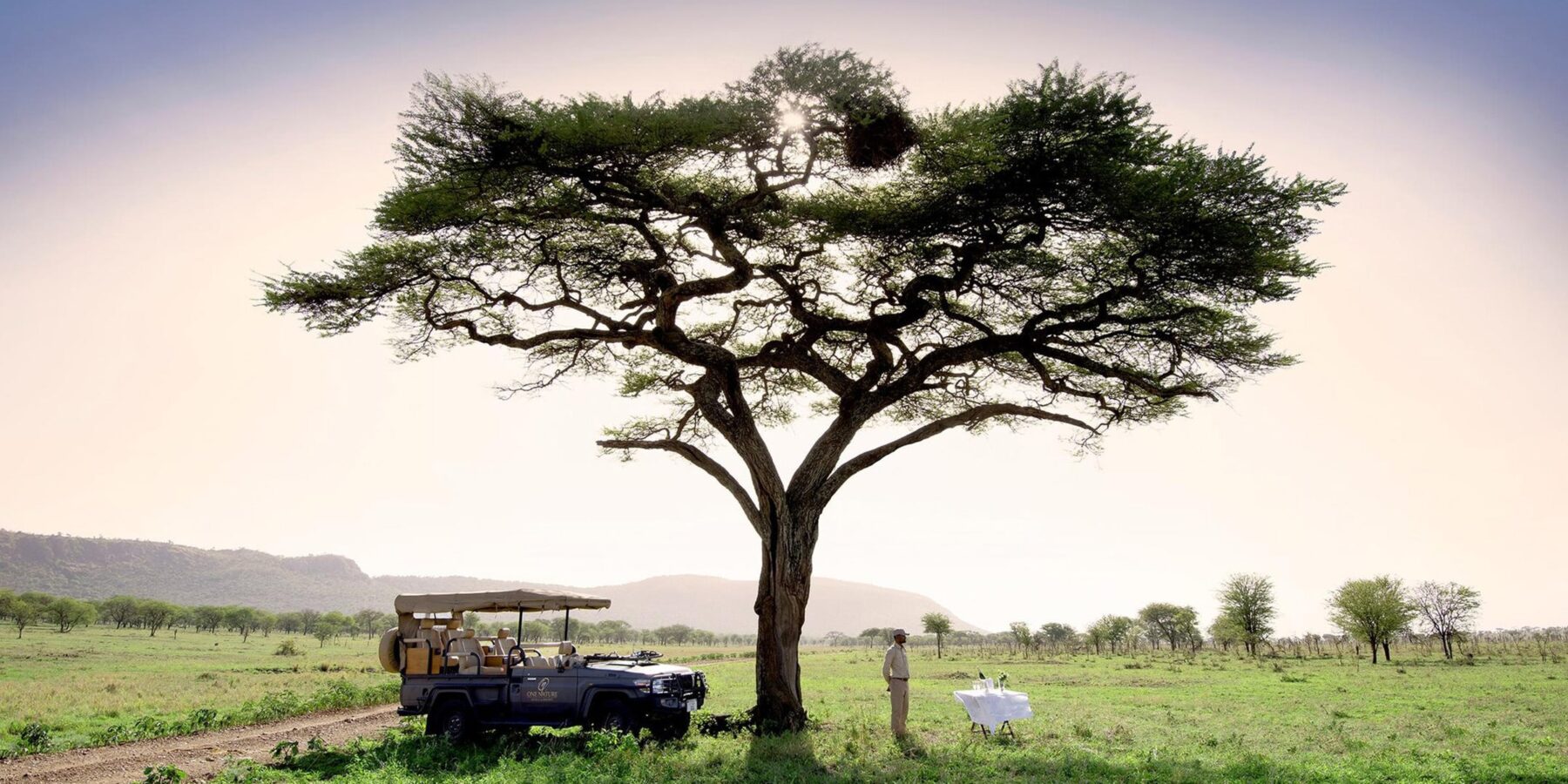 Safari Game Drive Vehicle