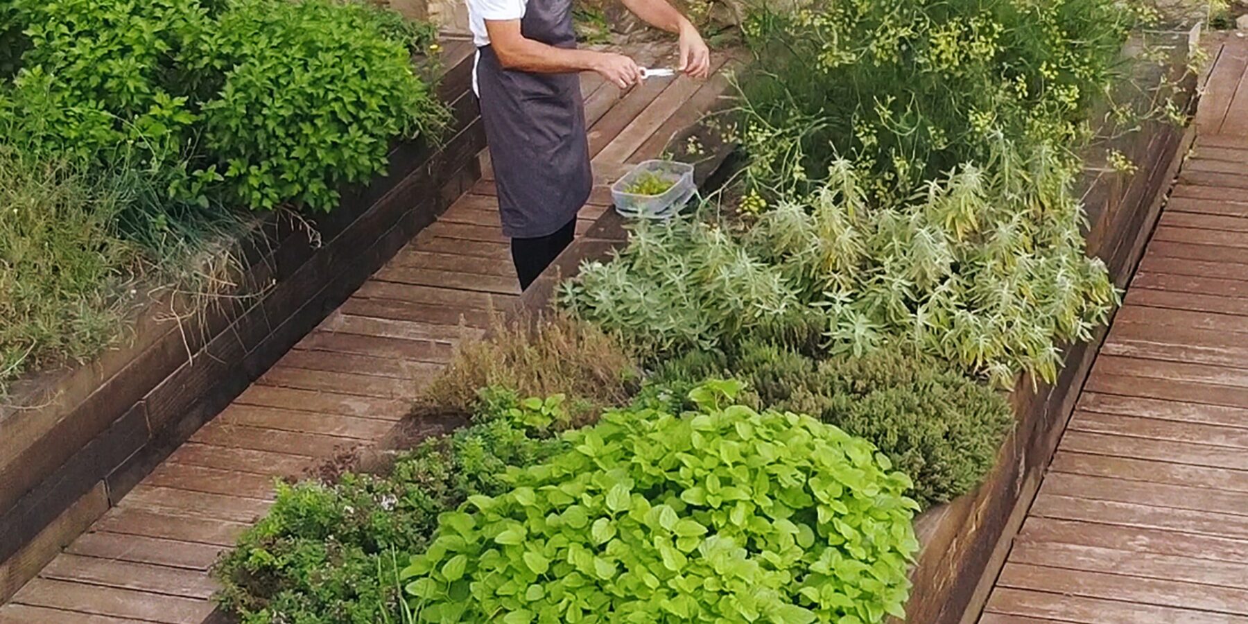 SHA Garden