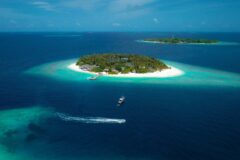 shazmyn-ali-6EUguUqm4bY-unsplash