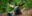 shivam-kumar-MVIqwQvkwG4-unsplash