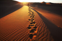 Hike,In,Namib,Desert