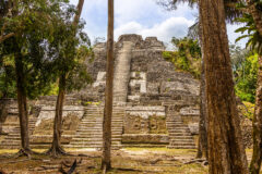 Central,Ancient,Pyramid,Of,Old,Mayan,Civilization,City,,Lamanai,Archeological