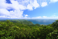 Tortola,From,Sage,Mountain,National,Park,British,Virgin,Islands