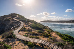 Landscape,Photo,Of,A,Curvy,Boardwalk,Going,Up,A,Slopes