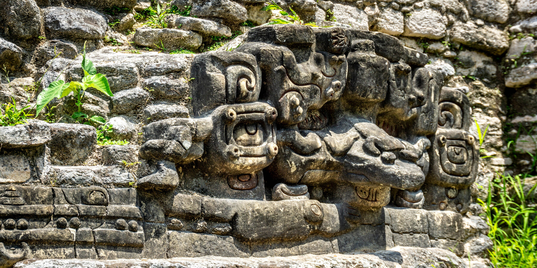 Caracol,Temple,And,Archeological,Reserve,,San,Ignacio,,Belize.