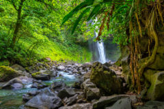 La,Fortuna,Waterfall,In,The,Forest,With,River,,Close,To