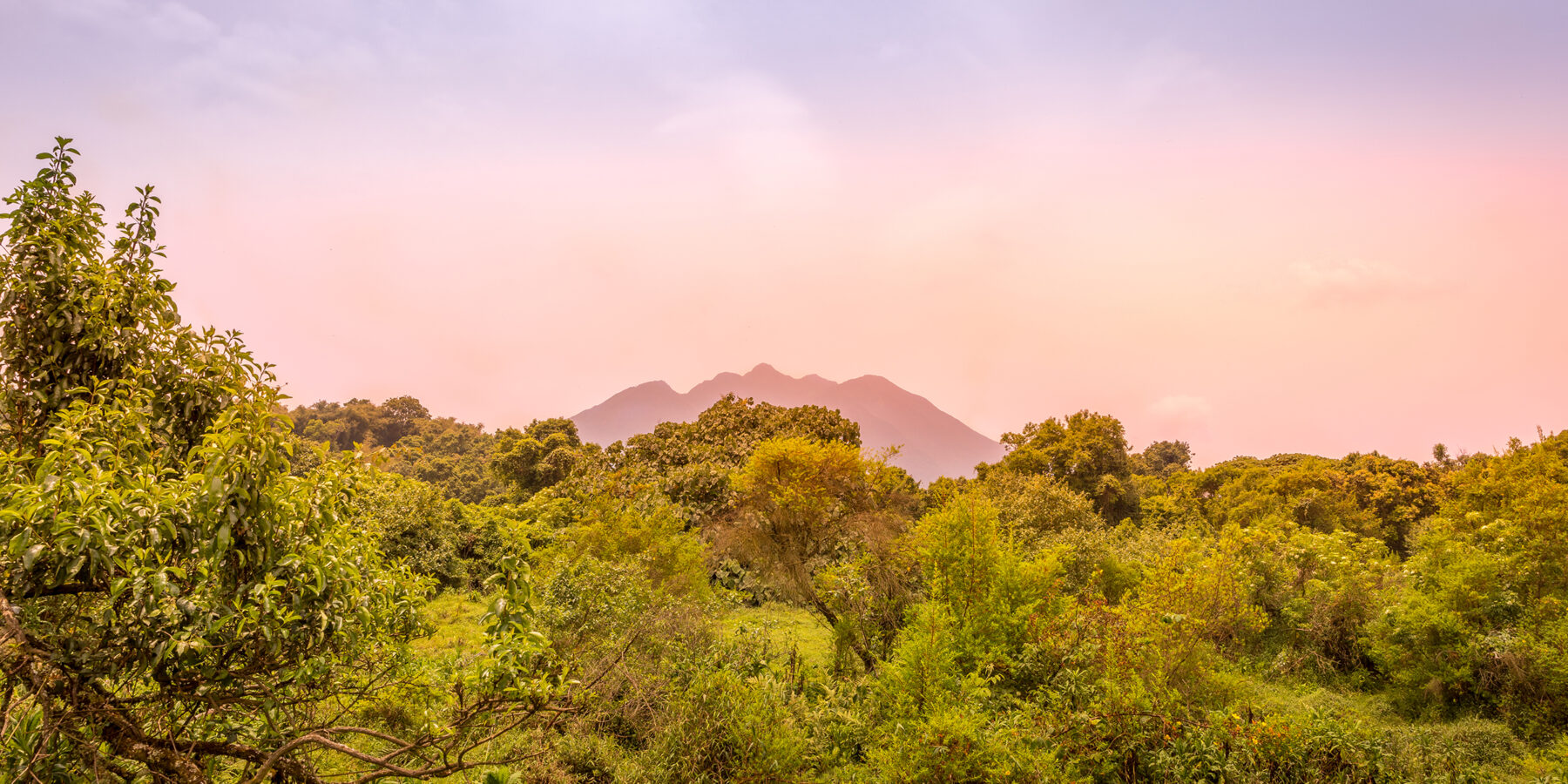 Virunga,Volcanoes,And,Mgahinga,Gorilla,National,Park,From,Kisoro,In