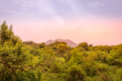 Virunga,Volcanoes,And,Mgahinga,Gorilla,National,Park,From,Kisoro,In