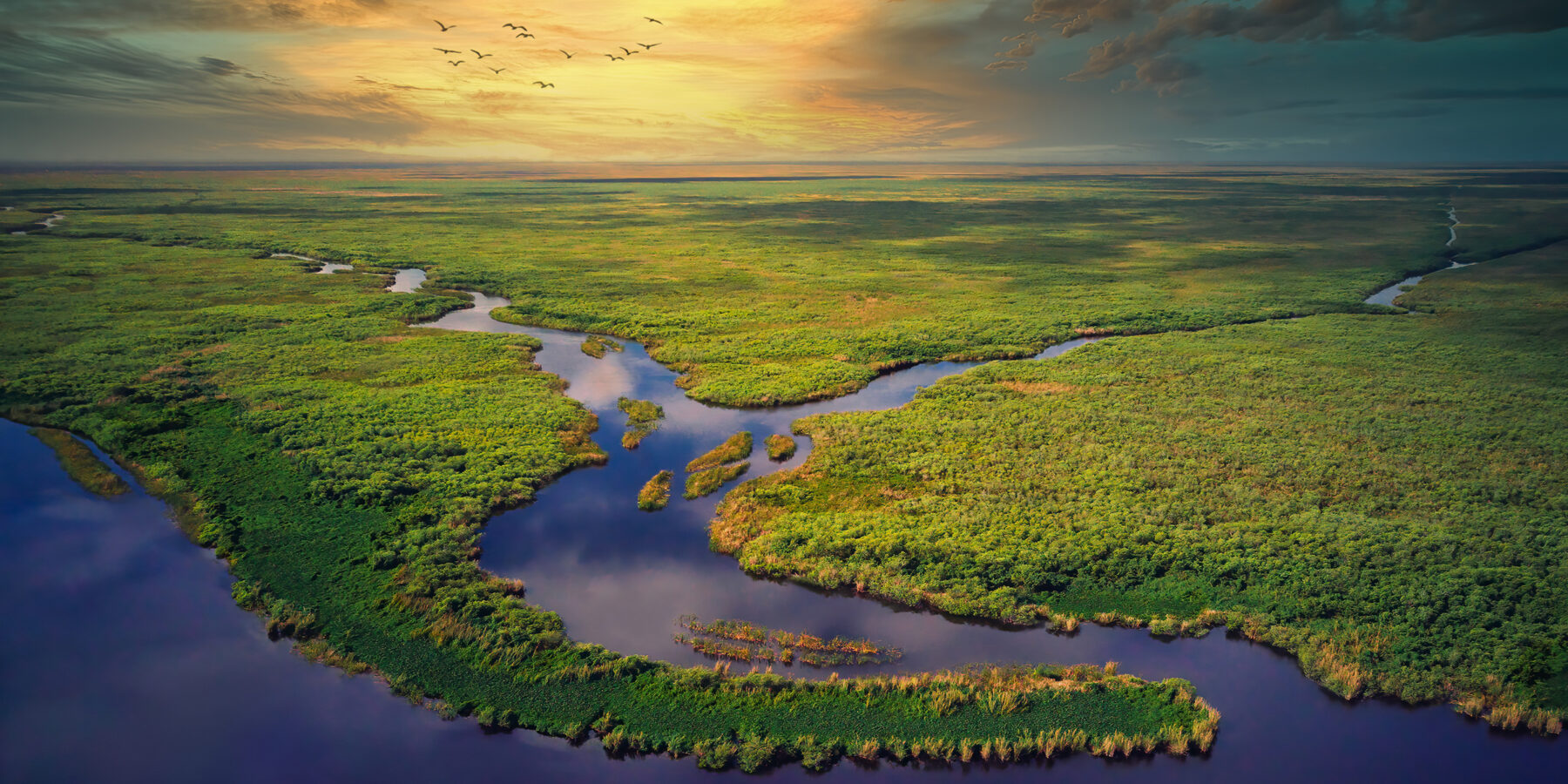 Aerial,View,Of,Florida,Everglades,Golden,Hour,Sunset