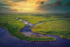 Aerial,View,Of,Florida,Everglades,Golden,Hour,Sunset