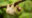 Sloth,In,Rain,Forest,In,Costa,Rica