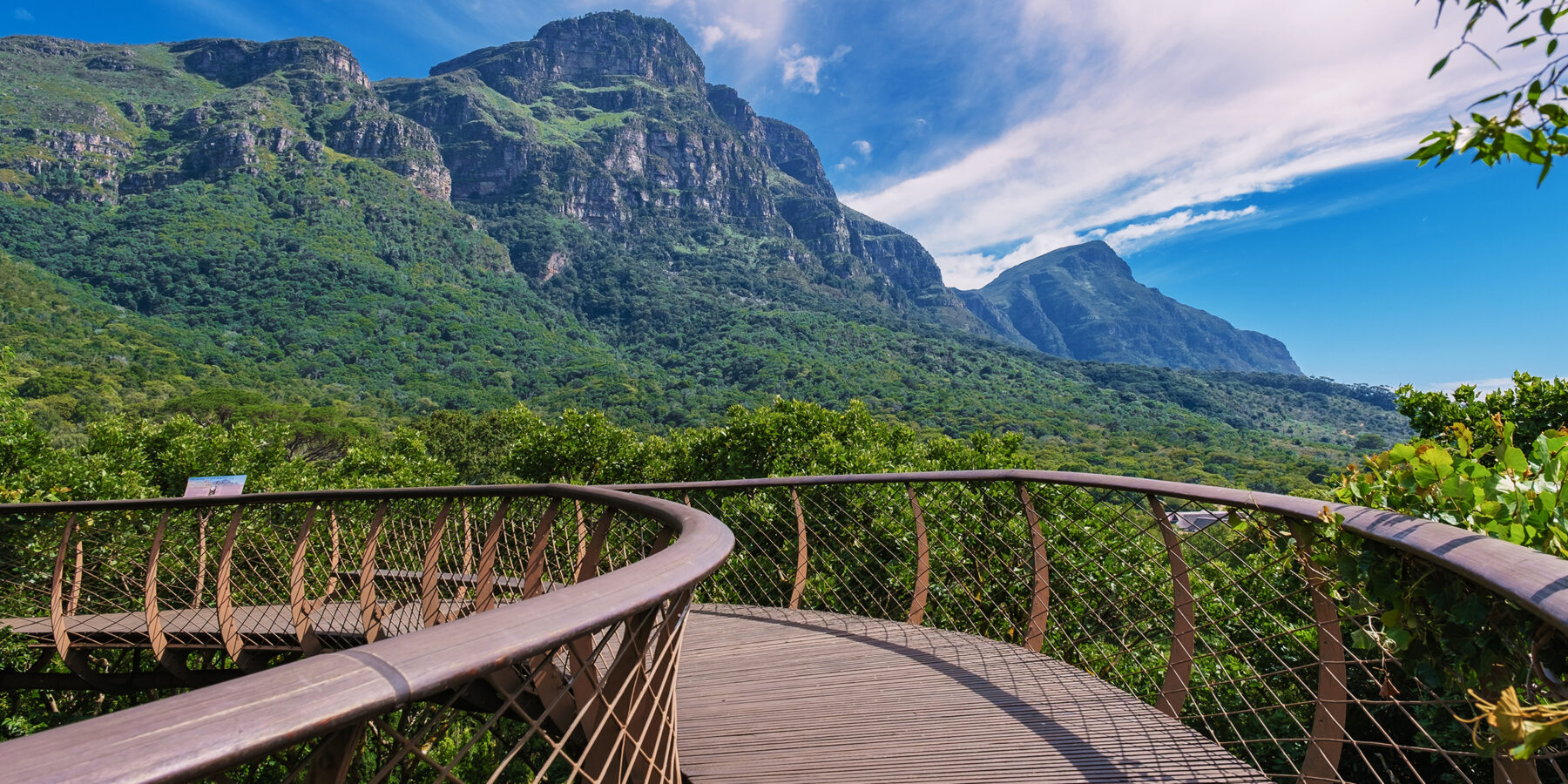 View,Of,The,Boomslang,Walkway,In,The,Kirstenbosch,Botanical,Garden