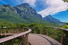 View,Of,The,Boomslang,Walkway,In,The,Kirstenbosch,Botanical,Garden
