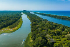 Caribbean,Sea,On,The,One,Side,,Village,Tortuguero,Inside,The