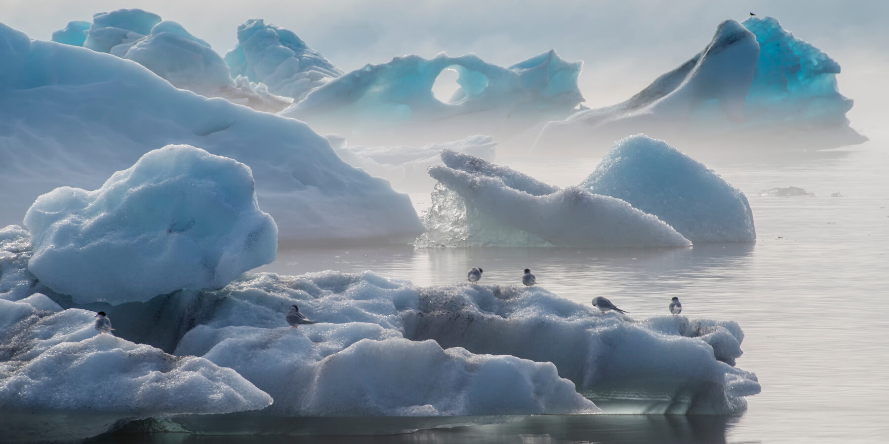 Jˆkuls·rlÛn,Lagoon,In,Summer,(iceland,Landscapes)