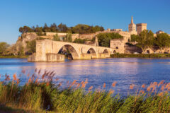 Famous,Medieval,Saint,Benezet,Bridge,And,Palace,Of,The,Popes