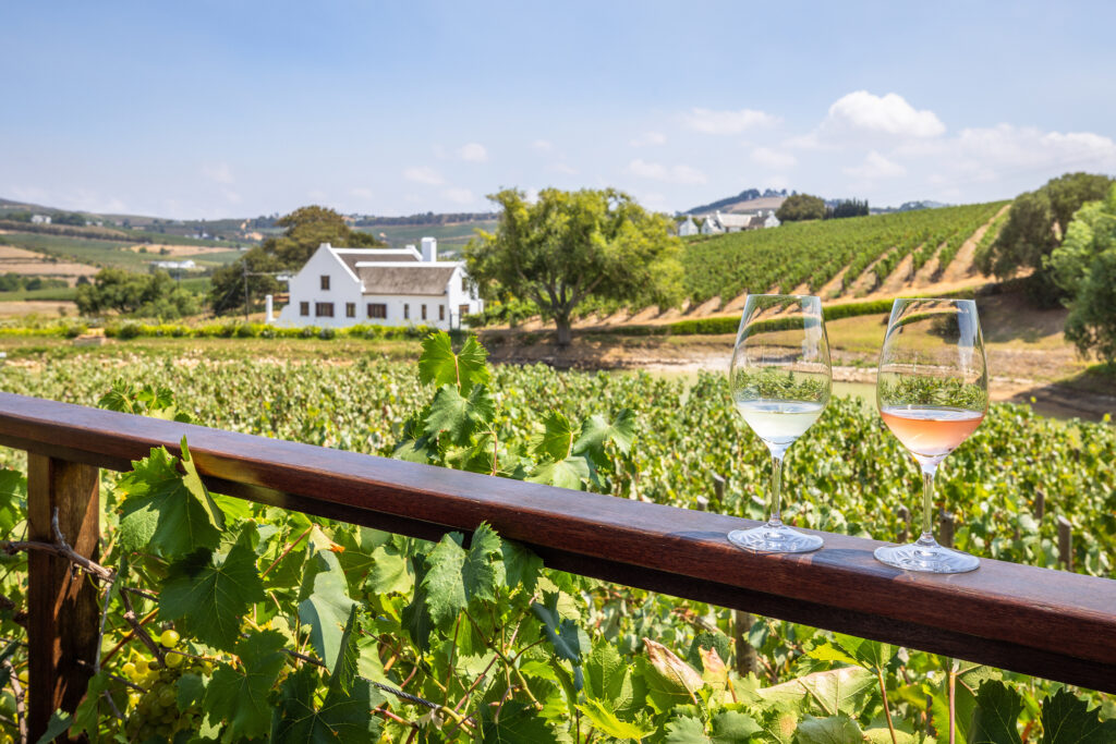 Wine,Tasting,At,Aaldering,Vineyards,And,Wines,,Stellenbosch,,South,Africa.
