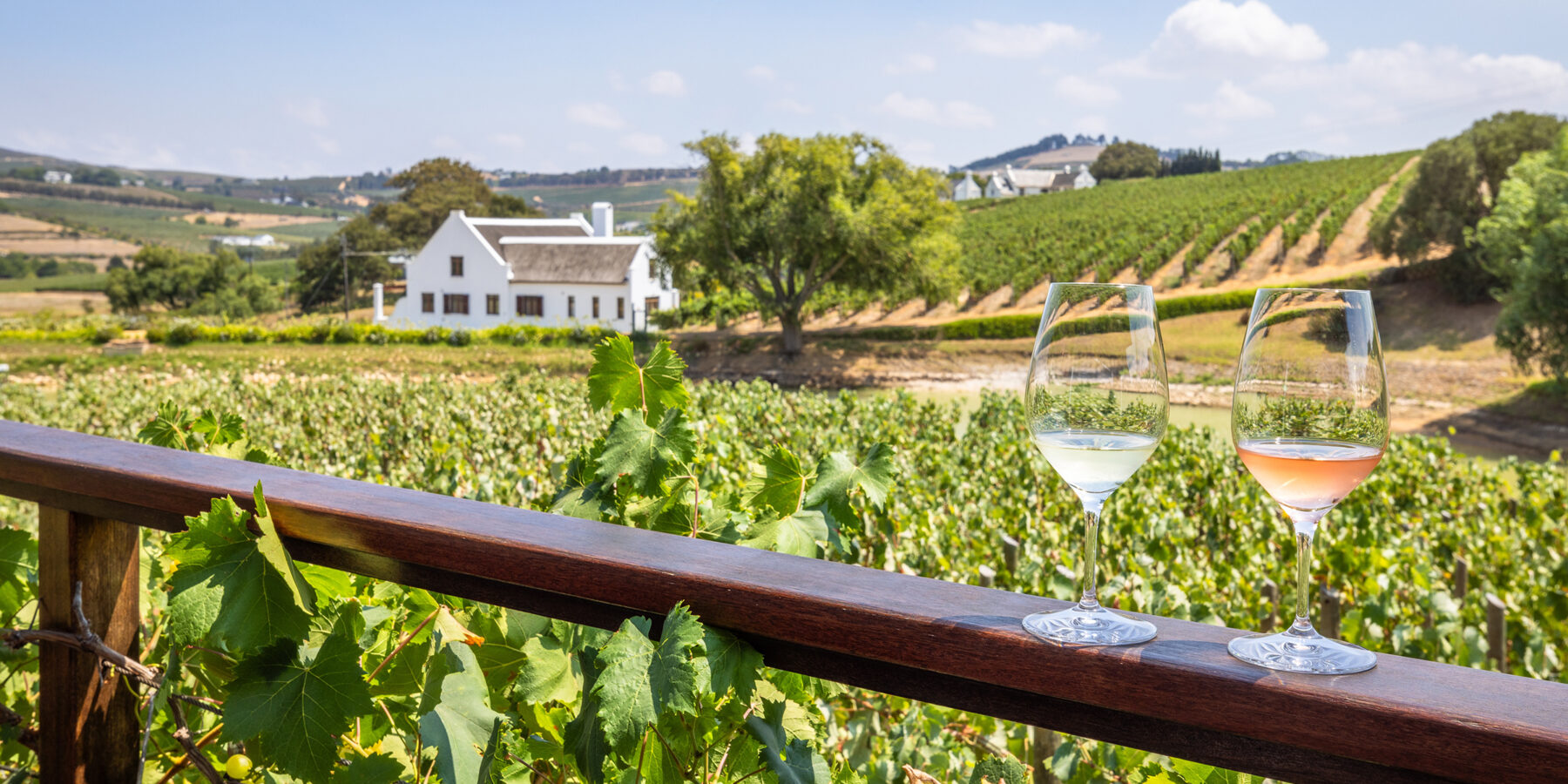 Wine,Tasting,At,Aaldering,Vineyards,And,Wines,,Stellenbosch,,South,Africa.