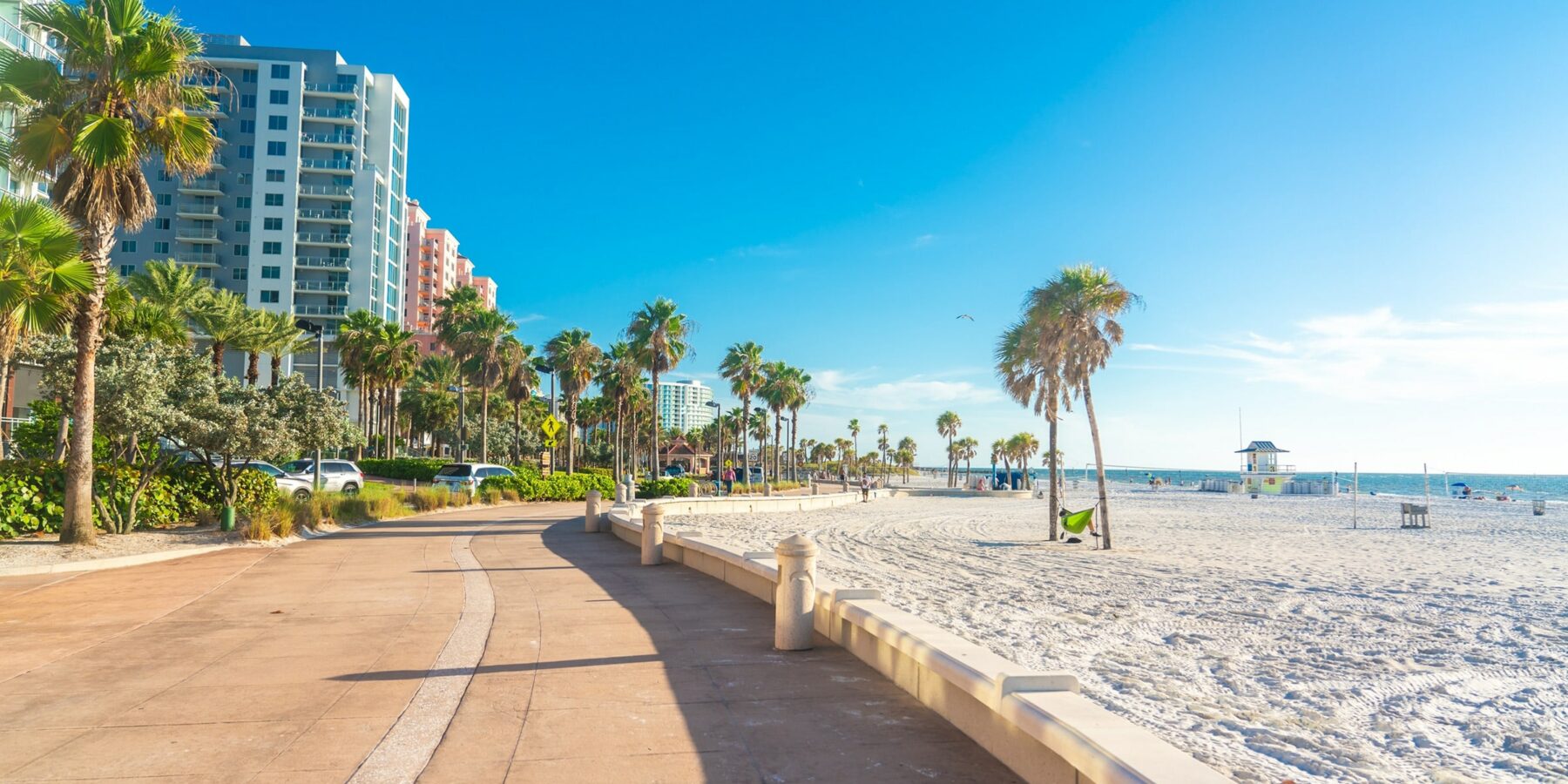 shutterstock_2422244593
