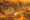 Side,View,Of,African,Cheetah,,Acinonyx,Jubatus,,Family,Of,Felids,