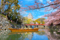 Himeji,Castle,Moat,Boat,Tour,During,Full,Bloom,Cherry,Blossom