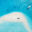 Top,Down,Aerial,View,Of,Seascape,Atoll,Sandbank,Island,In