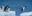 Adelie,Penguin,Jumping,Between,Two,Ice,Floes