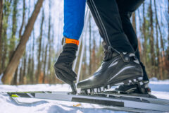 Close-up,Of,Cross-country,Skier,Fastening,Boots,To,Skis,,Preparing,For