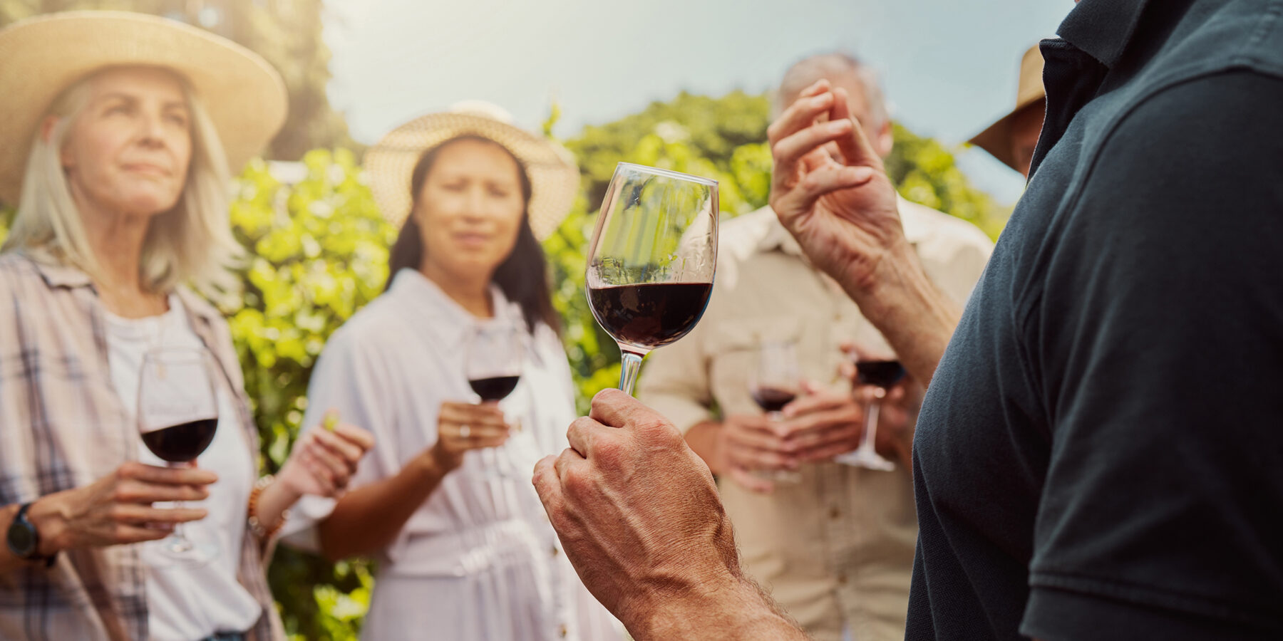 Vineyard,,People,And,Learning,As,Friends,With,Wine,Glass,For