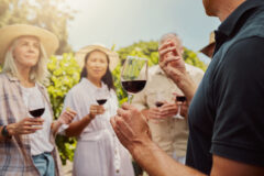 Vineyard,,People,And,Learning,As,Friends,With,Wine,Glass,For