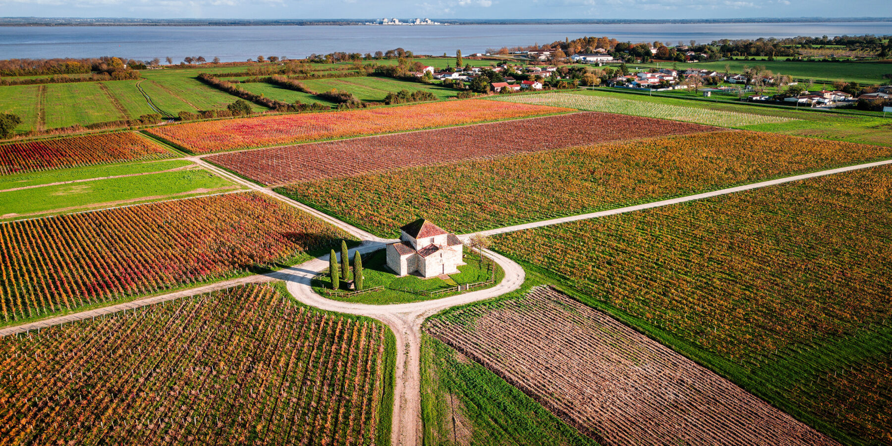 Medoc,Landscape,,Fishing,Cabins,And,Wineries,,Gironde,,France