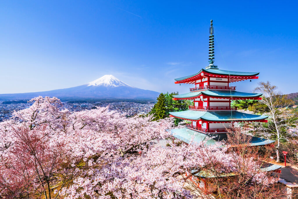 Arakurayama,Sengen,Park,In,Spring.,A,Breathtaking,View,From,The