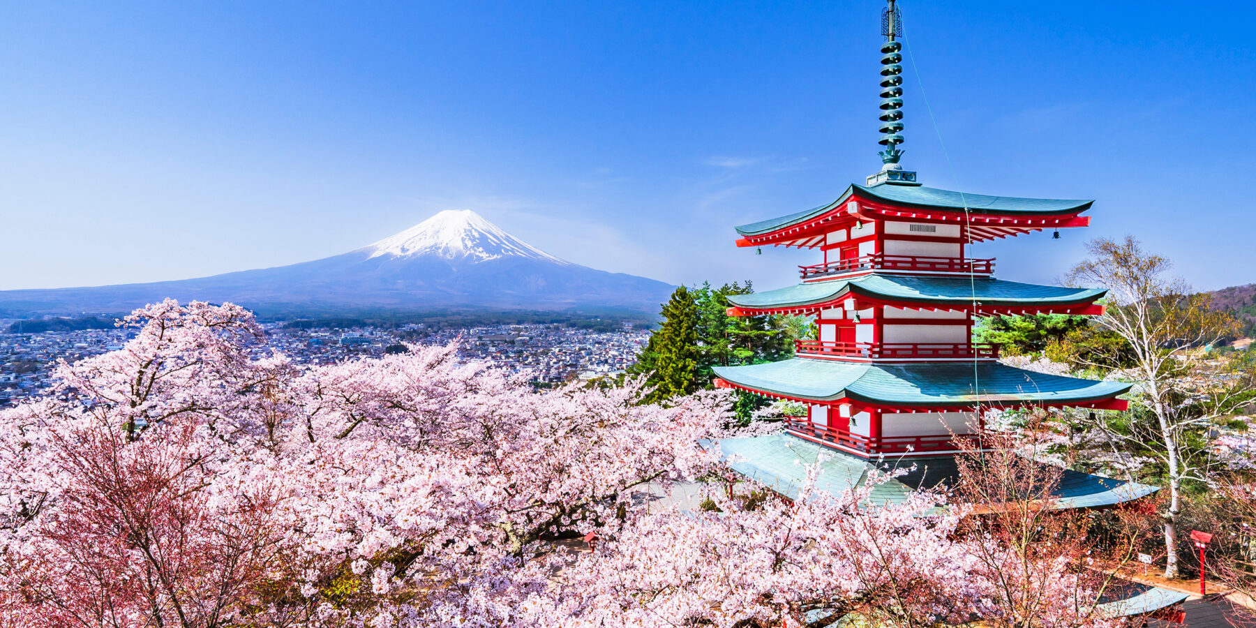 Arakurayama,Sengen,Park,In,Spring.,A,Breathtaking,View,From,The