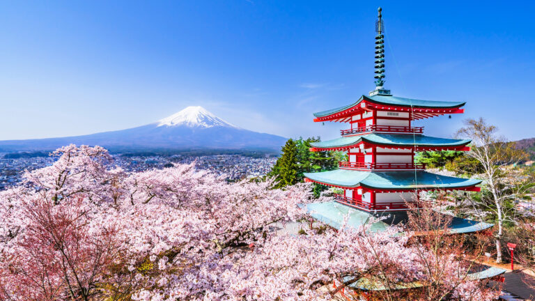 Arakurayama,Sengen,Park,In,Spring.,A,Breathtaking,View,From,The