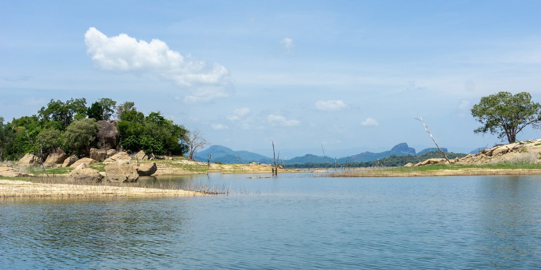 shutterstock_2608455839