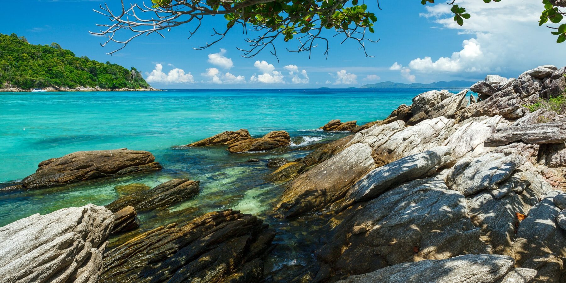 shutterstock_538953628