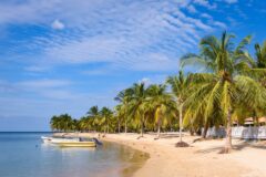 shutterstock_730075066