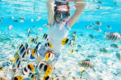 Woman,Snorkeling,In,Clear,Tropical,Waters,Among,Colorful,Fish