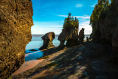 At,Hopewell,Rocks,One,Can,Experience,The,World’s,Highest,Tides.